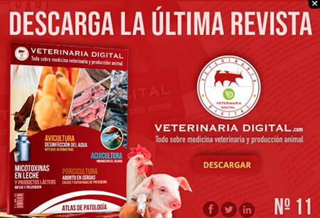 Revista Veterinaria Digital